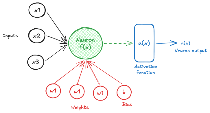 Neuron